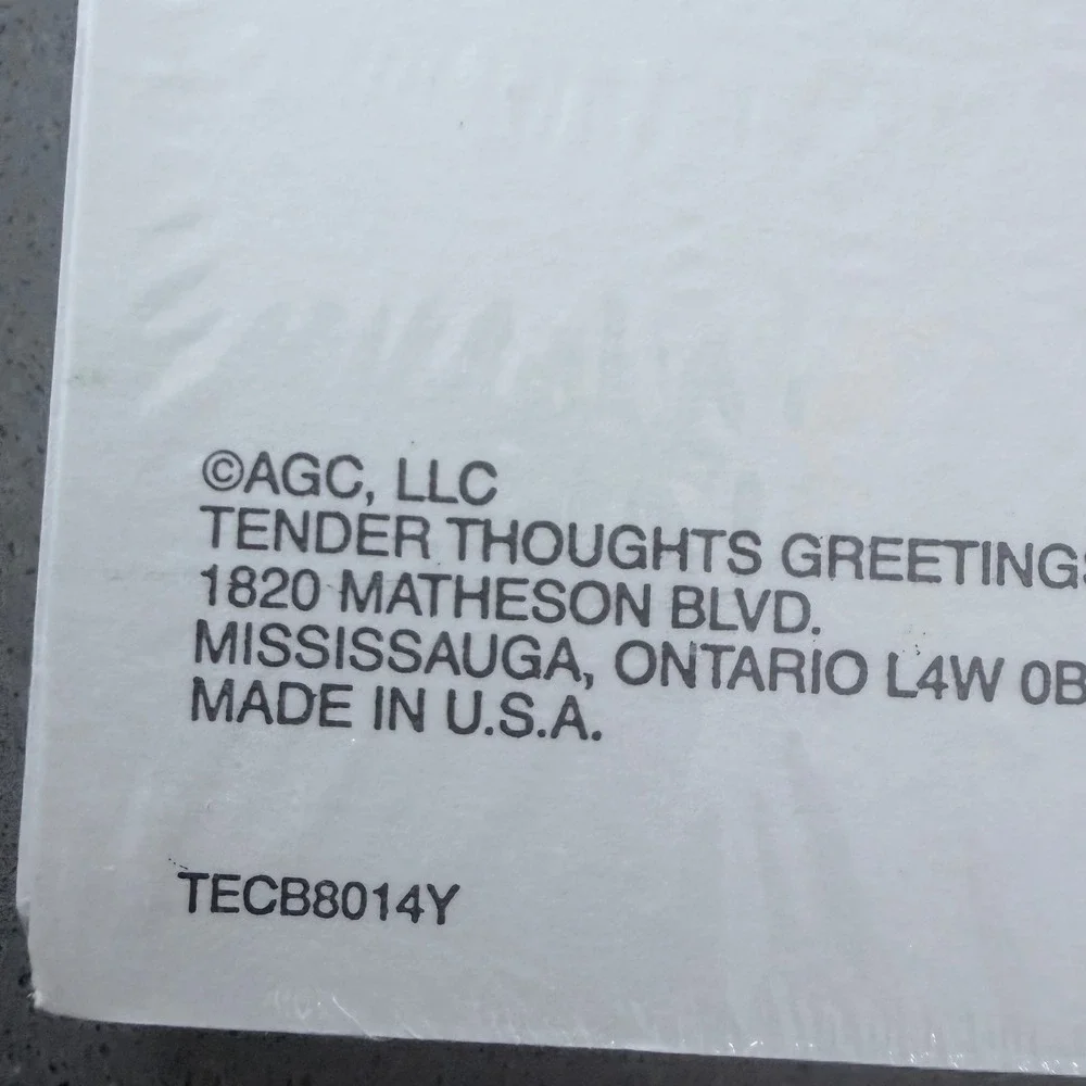 VTG Tender Thoughts Inspirational Note Cards 16 Count Blank Inside Sunset